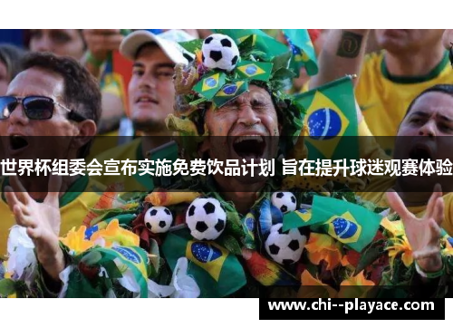 世界杯组委会宣布实施免费饮品计划 旨在提升球迷观赛体验 世界杯组委会宣布实施免费饮品计划 旨在提升球迷观赛体验